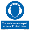 mandatory-you-only-have-one-pair-of-ears-protect-them~